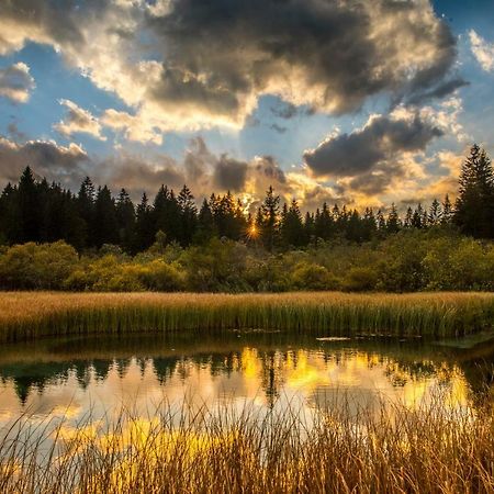 Klass 103 Краньска Гора Экстерьер фото